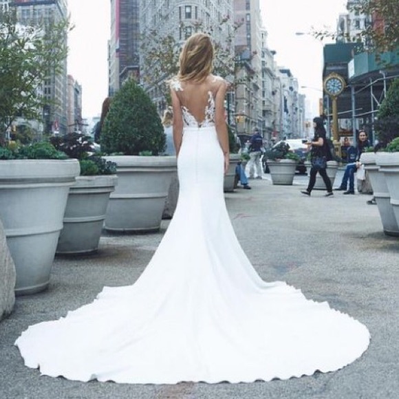 Pronovias Vicenta Wedding Gown - Picture 3 of 8